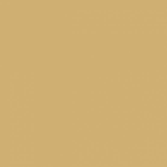 Kurk en PVC Expert uit Dessel - Antwerpen. Uw specialist in kurkvloeren en PVC vloeren. U kan bij ons terecht voor kurkvloeren, ondervloeren, kurkwanden, klikkurk, kurktegels, kurkverf, lijmen, PVC vloeren en alle toebehoren.