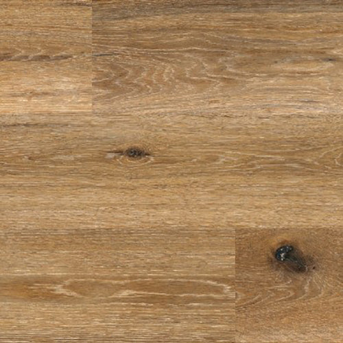 Kurk en PVC Expert uit Dessel - Antwerpen. Uw specialist in kurkvloeren en PVC vloeren. U kan bij ons terecht voor kurkvloeren, ondervloeren, kurkwanden, klikkurk, kurktegels, kurkverf, lijmen, PVC vloeren en alle toebehoren.