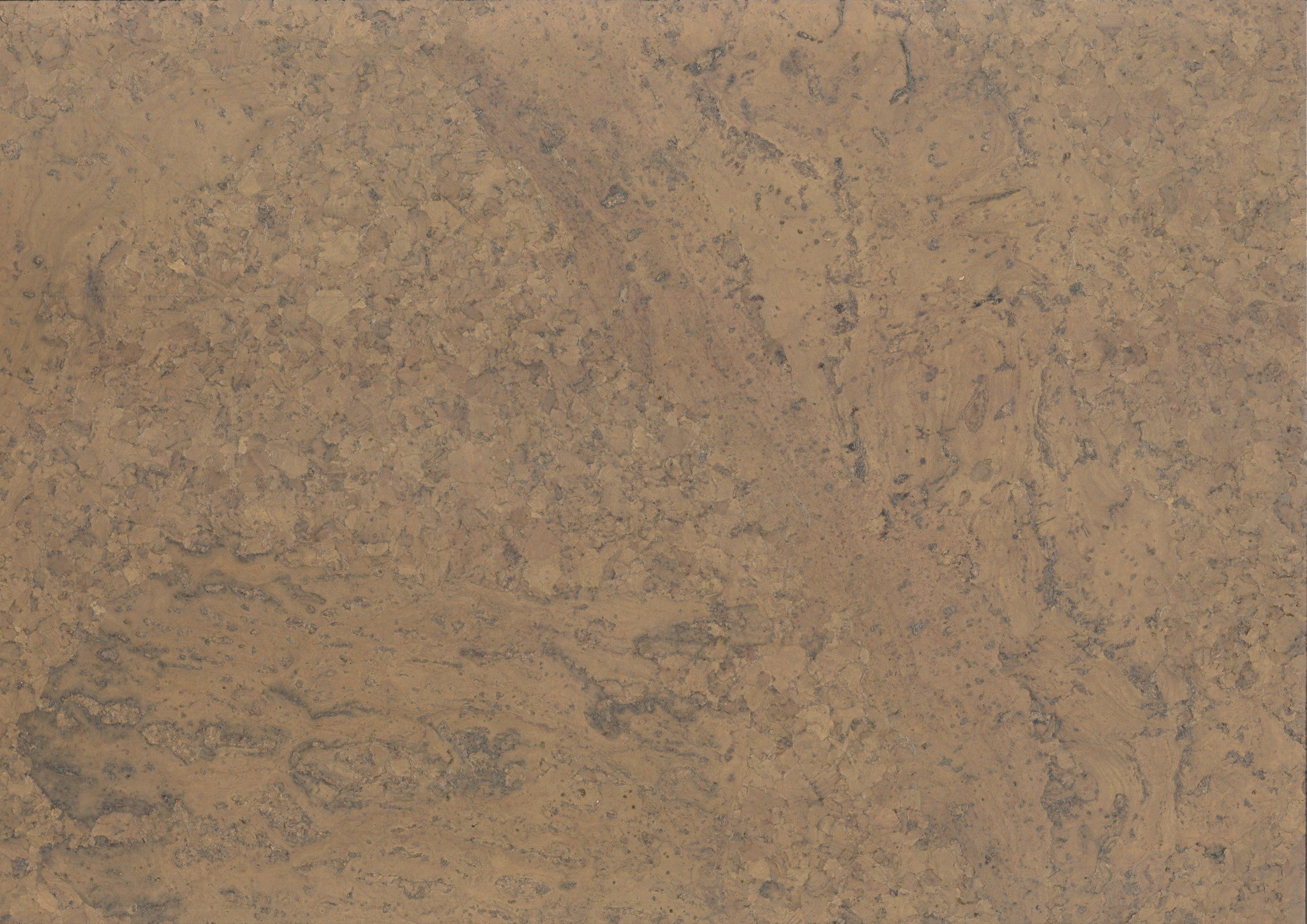 Kurk en PVC Expert uit Dessel - Antwerpen. Uw specialist in kurkvloeren en PVC vloeren. U kan bij ons terecht voor kurkvloeren, ondervloeren, kurkwanden, klikkurk, kurktegels, kurkverf, lijmen, PVC vloeren en alle toebehoren.