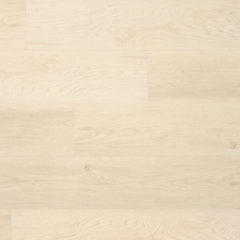 Kurk en PVC Expert uit Dessel - Antwerpen. Uw specialist in kurkvloeren en PVC vloeren. U kan bij ons terecht voor kurkvloeren, ondervloeren, kurkwanden, klikkurk, kurktegels, kurkverf, lijmen, PVC vloeren en alle toebehoren.