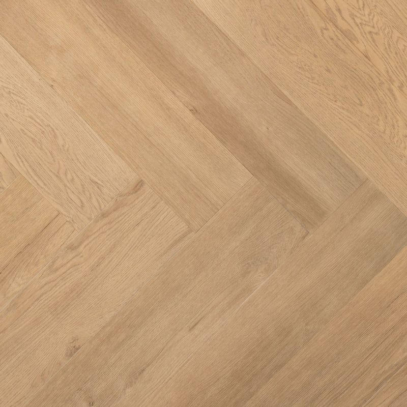 Kurk en PVC Expert uit Dessel - Antwerpen. Uw specialist in kurkvloeren en PVC vloeren. U kan bij ons terecht voor kurkvloeren, ondervloeren, kurkwanden, klikkurk, kurktegels, kurkverf, lijmen, PVC vloeren en alle toebehoren.
