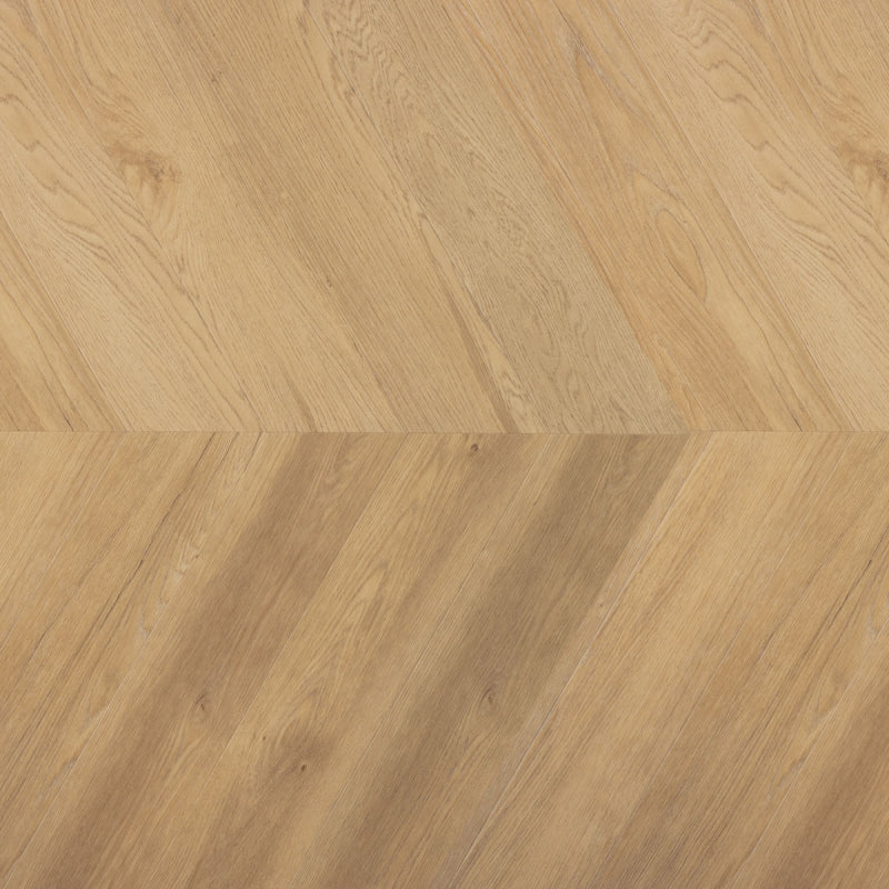 Kurk en PVC Expert uit Dessel - Antwerpen. Uw specialist in kurkvloeren en PVC vloeren. U kan bij ons terecht voor kurkvloeren, ondervloeren, kurkwanden, klikkurk, kurktegels, kurkverf, lijmen, PVC vloeren en alle toebehoren.