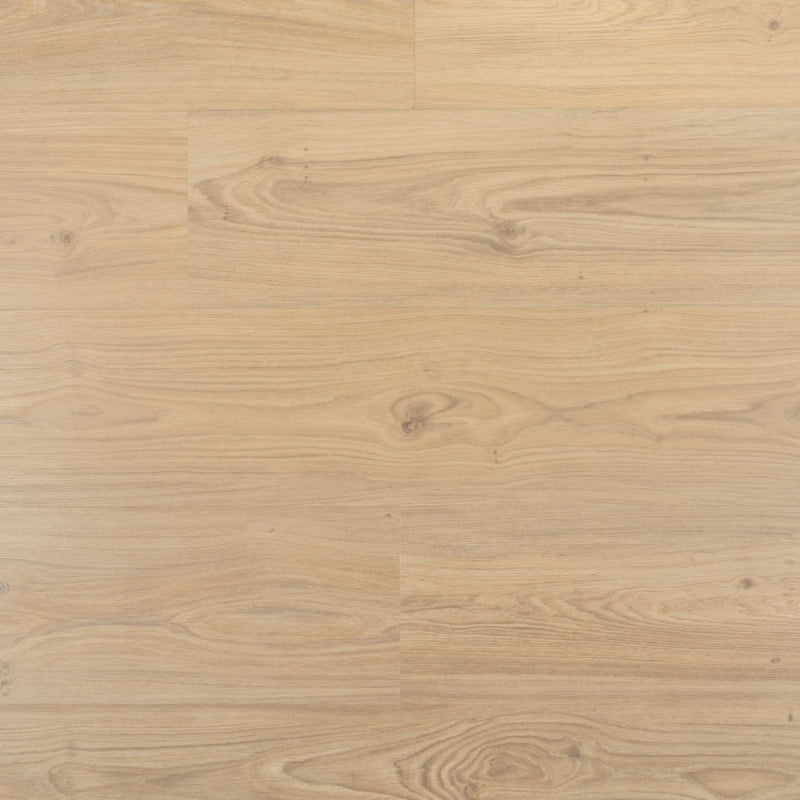 Kurk en PVC Expert uit Dessel - Antwerpen. Uw specialist in kurkvloeren en PVC vloeren. U kan bij ons terecht voor kurkvloeren, ondervloeren, kurkwanden, klikkurk, kurktegels, kurkverf, lijmen, PVC vloeren en alle toebehoren.