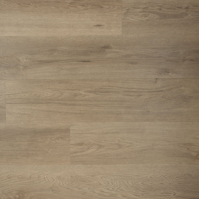 Kurk en PVC Expert uit Dessel - Antwerpen. Uw specialist in kurkvloeren en PVC vloeren. U kan bij ons terecht voor kurkvloeren, ondervloeren, kurkwanden, klikkurk, kurktegels, kurkverf, lijmen, PVC vloeren en alle toebehoren.