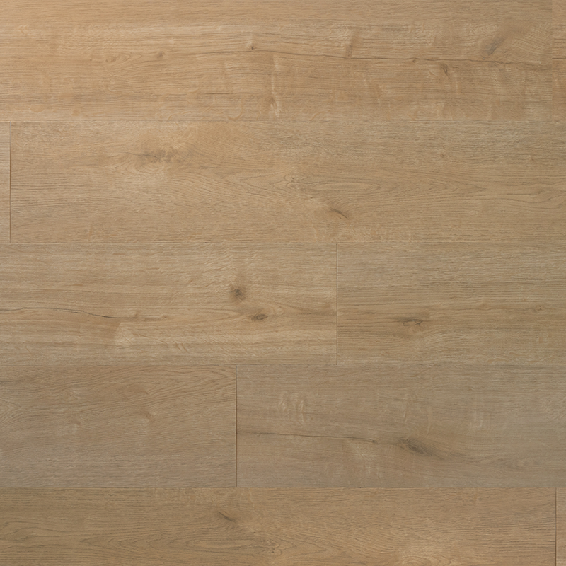 Kurk en PVC Expert uit Dessel - Antwerpen. Uw specialist in kurkvloeren en PVC vloeren. U kan bij ons terecht voor kurkvloeren, ondervloeren, kurkwanden, klikkurk, kurktegels, kurkverf, lijmen, PVC vloeren en alle toebehoren.